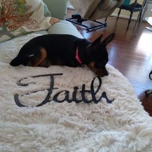 Meet your Posher, Sheryl